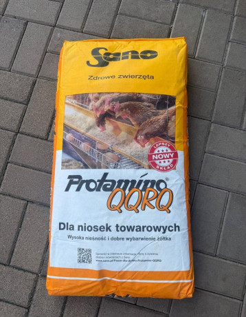 sano-qqrq-fino-big-1