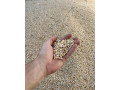 hrach-small-0