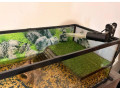 predam-zariadene-akvarium-a-dve-korytnacky-small-3