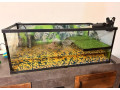 predam-zariadene-akvarium-a-dve-korytnacky-small-4