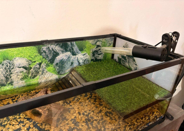 predam-zariadene-akvarium-a-dve-korytnacky-big-3