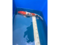 koi-small-3