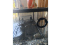 akvarium-2x-koritnacky-small-2