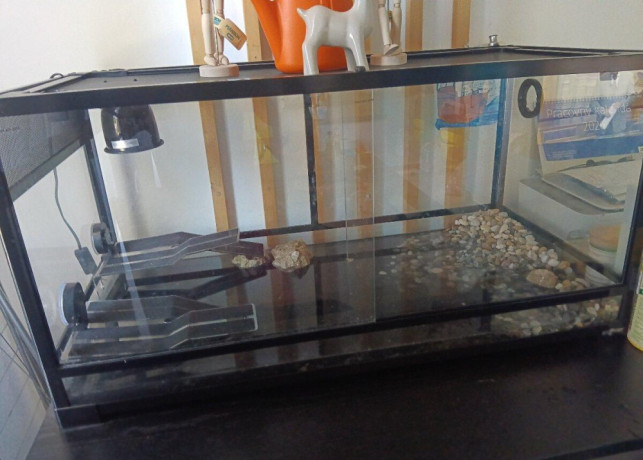 akvarium-2x-koritnacky-big-3