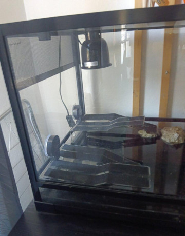 akvarium-2x-koritnacky-big-4