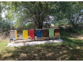 predam-mlade-matky-uz-kladuce-a-2ks-tohtorocne-odlozence-na-small-3