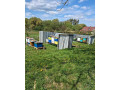 predam-vcelie-rodiny-small-0