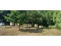 predam-produkcne-vcelstva-small-1