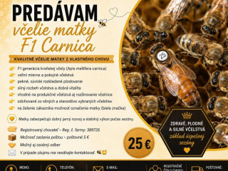vcelie-matky-f1-carnica