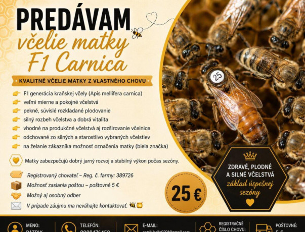 vcelie-matky-f1-carnica-big-0
