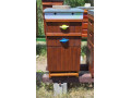 predam-produkcne-vcelstva-idealne-aj-s-ulmi-small-0