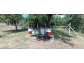predam-6-kusov-vcelstiev-aj-ulami-na-ramikovej-miere-b-small-1