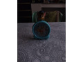 paw-patrol-hodinky-small-0