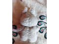labubu-small-2