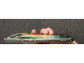 predam-google-pixel-6-small-3