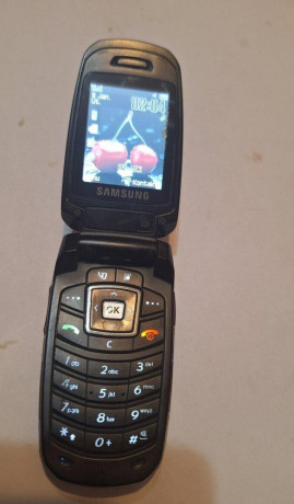 samsung-sgh-z230-big-2