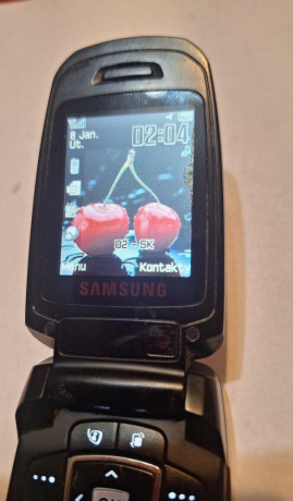 samsung-sgh-z230-big-3