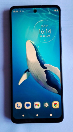motorola-moto-g60-big-0