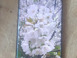 motorola-edge-50-ultra