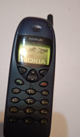 nokia-6110-big-0