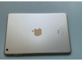 predam-ipad-mini-1-generacia-small-2