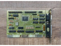 radice-goldstar-small-2