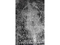 turecky-tkany-koberec-small-1