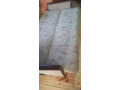 predam-gauc-small-2