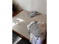 drevena-postel-small-0