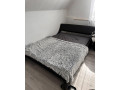 postel-160-small-0