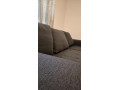 predam-gauc-small-1