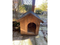 buda-pre-psa-small-0