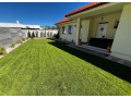 0903-509-294-small-1