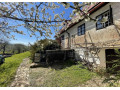 rozsiahla-vinica-s-historickou-chatou-v-slovenskom-krase-small-1