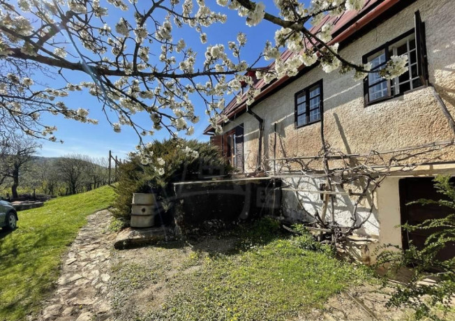 rozsiahla-vinica-s-historickou-chatou-v-slovenskom-krase-big-1