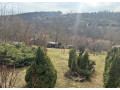 predaj-rekreacneho-pozemku-s-chatkou-small-2