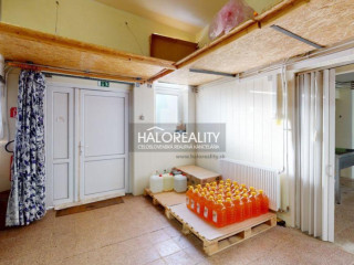 halo-reality
