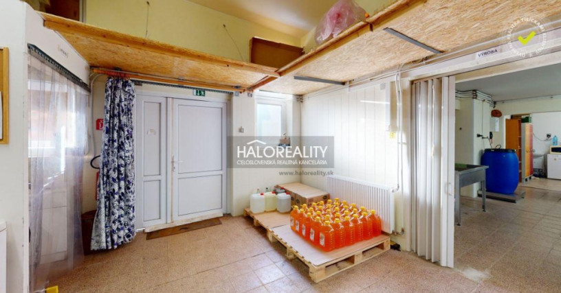 halo-reality-big-0