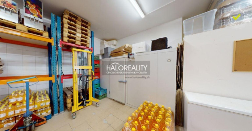 halo-reality-big-2