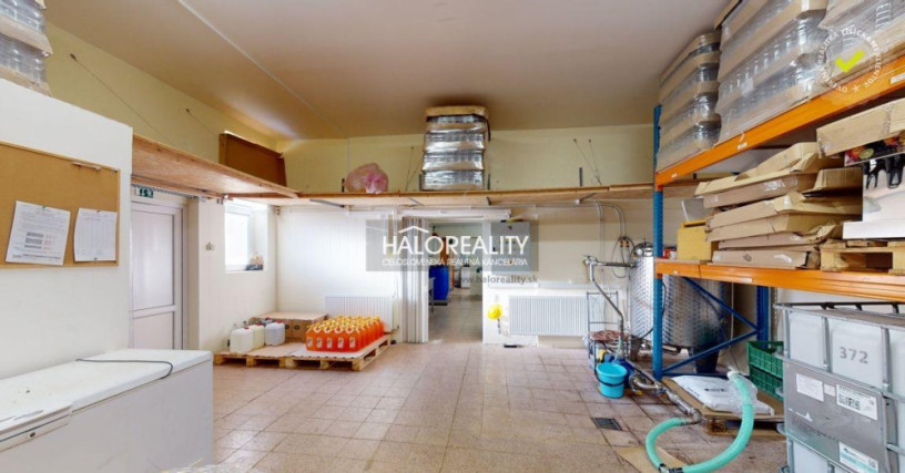 halo-reality-big-1