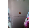 predam-chladnicku-darcek-small-4