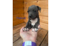 staford-small-0