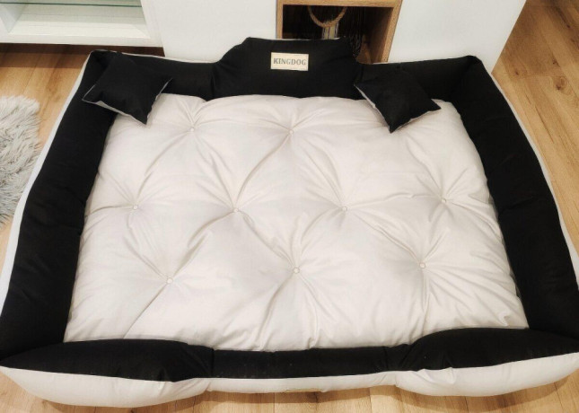 pelech-pre-psa-xxl-big-0