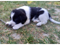 darujeme-steniatko-small-0