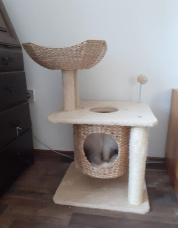 odpocivadlo-pre-maciatko-big-2