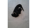 mainska-myvalia-s-pp-small-2