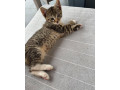 darujem-do-dobrych-ruk-small-0