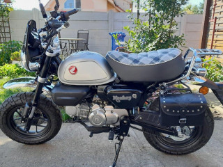 predam-honda-monkey-125-rv2023