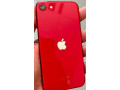 iphone-se-2020-small-3