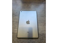 apple-ipad-mini-2-small-1